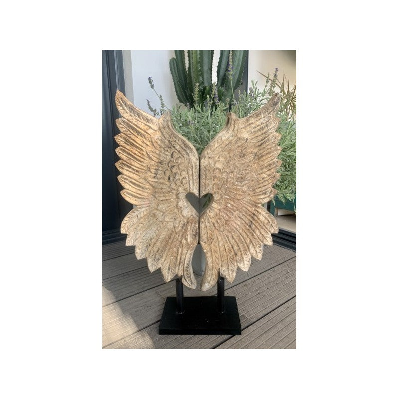 ANGEL1