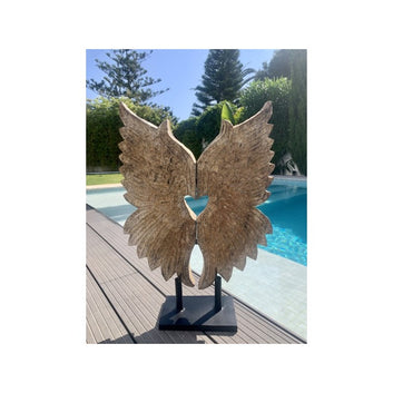 ANGEL1