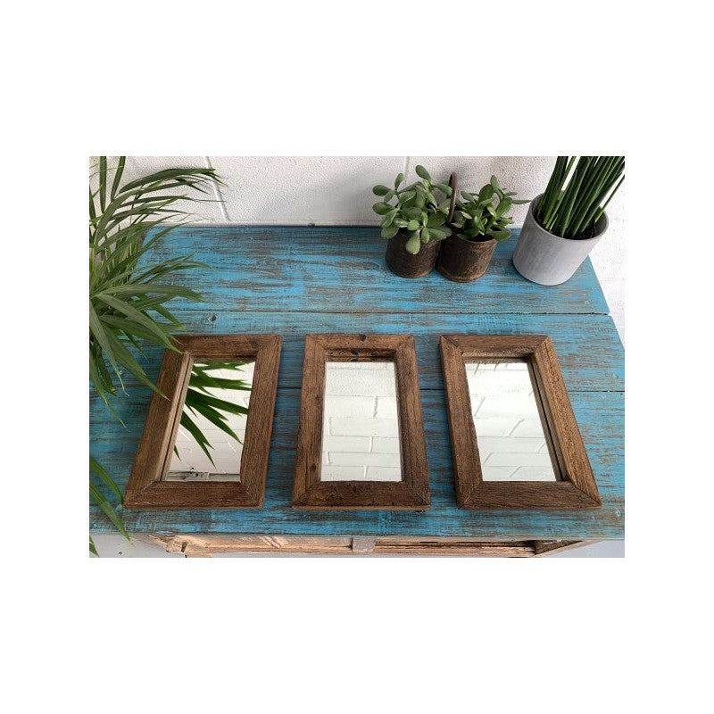 ESP D: Set of 3