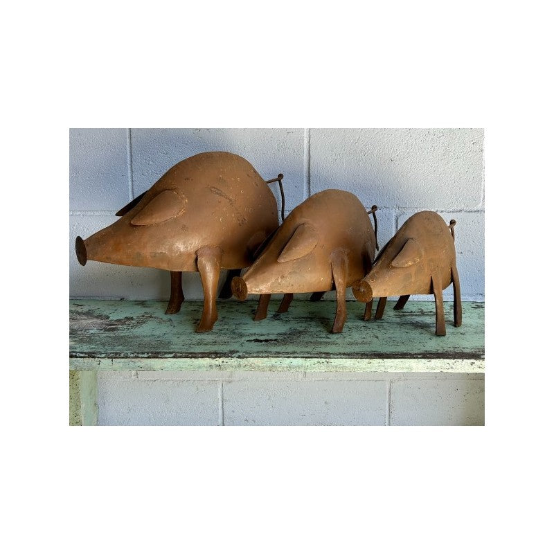 PIG Set B3