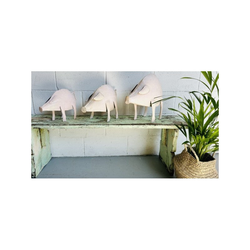 PIG Set P3